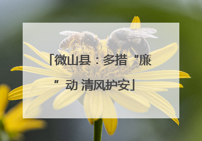 微山县：多措“廉”动 清风护安